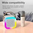 Mic Speaker with RGB | Bluetooth Speaker Fire Bass